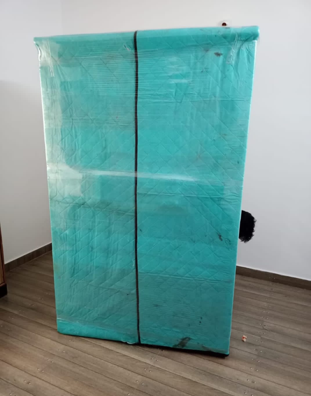 successful relocation project image 12